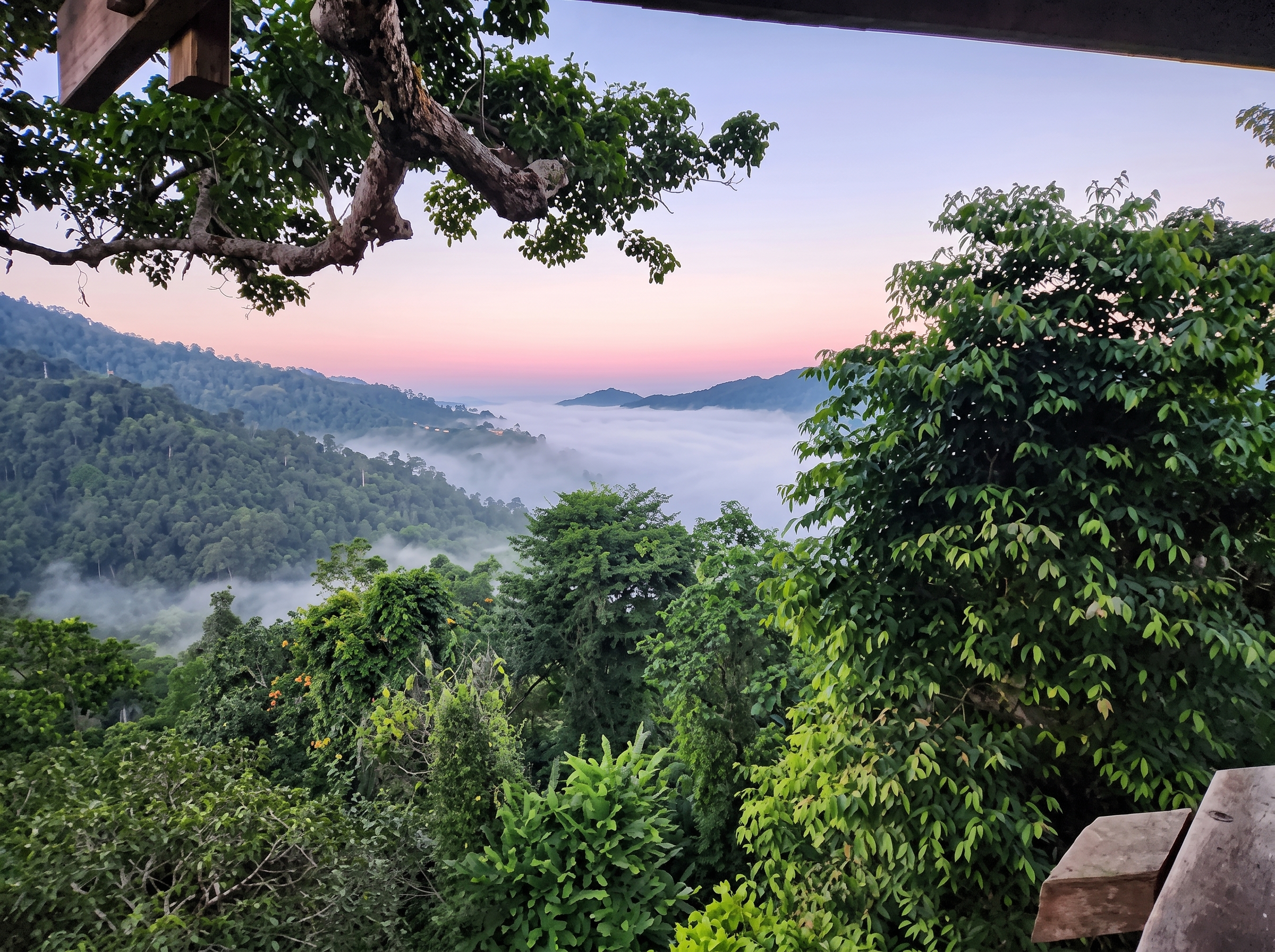 ADVENTURE & ECO-TOURS: MEET THE TRIBES 15 Days / 14 Nights
